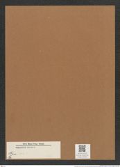 Coscinodiscus sp. (de-Toni-Nr.: Genus 202) Zeichnungen Sammlung Grunow Mappe 04933 (Herbarium_W_Grunow_drawings_Folder_04933)